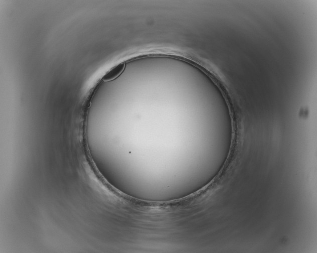 X0000113621504200910021815