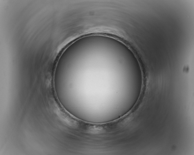 X0000113621505200910021815