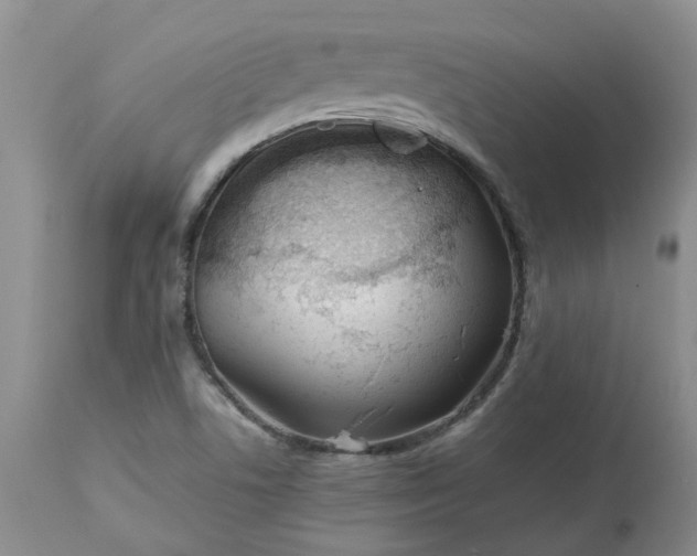 X0000113621506200910021815