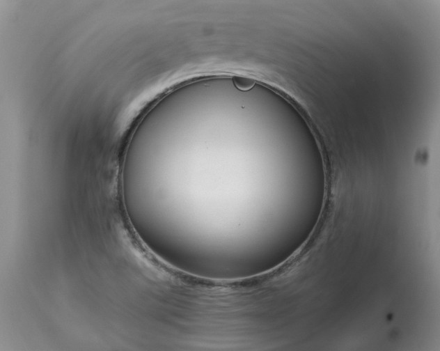 X0000113621507200910021815