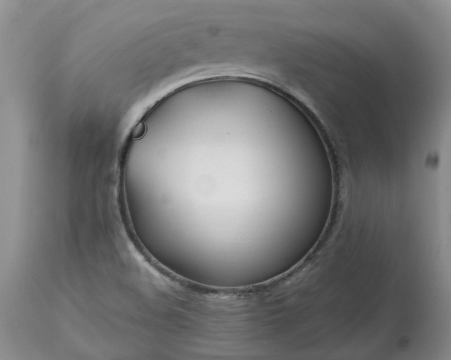 X0000113621508200910021815