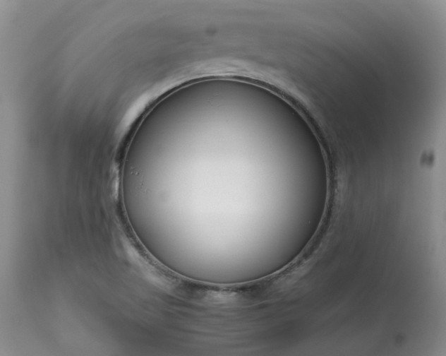 X0000113621509200910021815