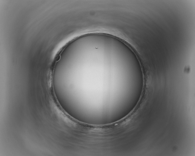 X0000113621510200910021815