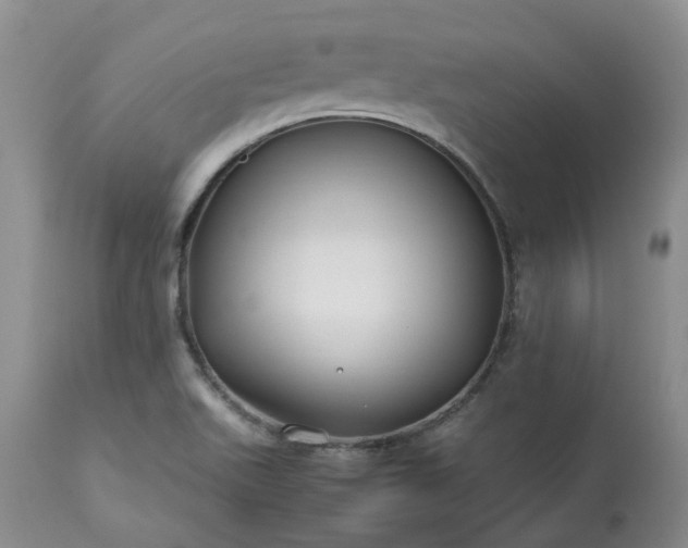 X0000113621511200910021815