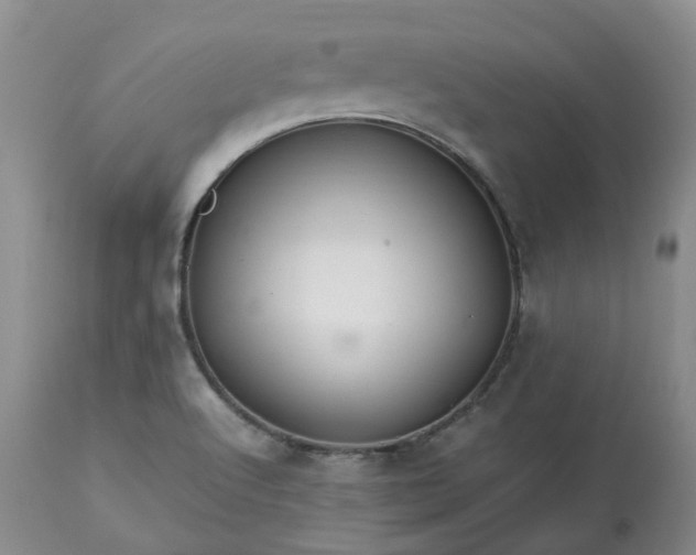 X0000113621512200910021815