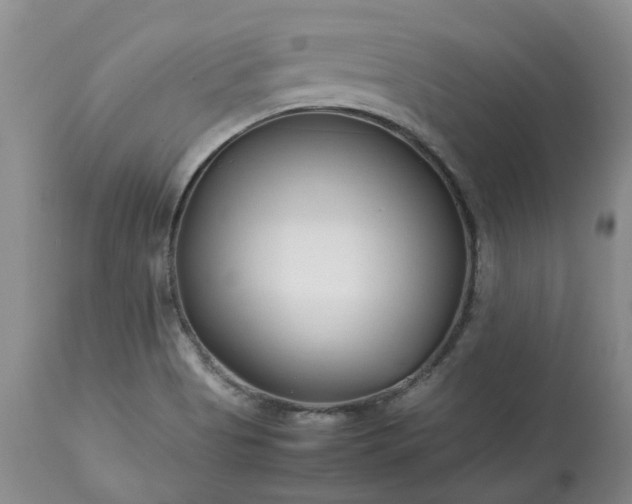 X0000113621513200910021815