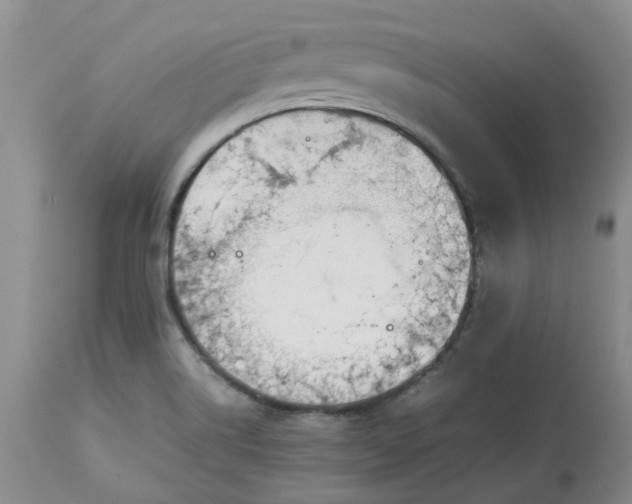 X0000113621514200910021815