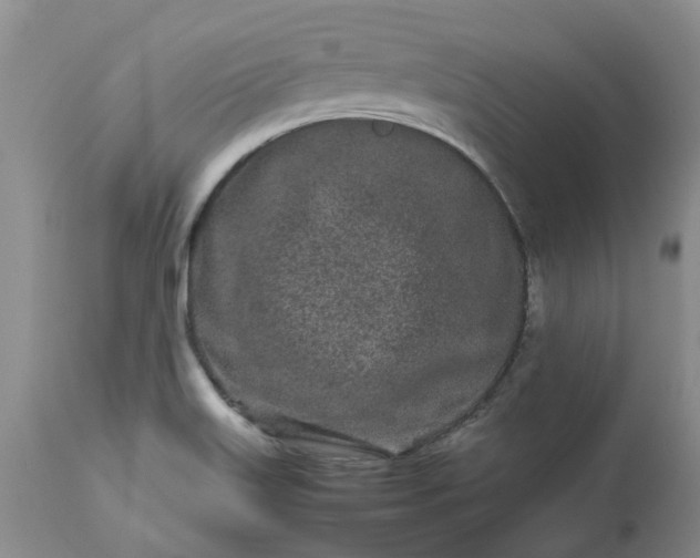 X0000113621515200910021815