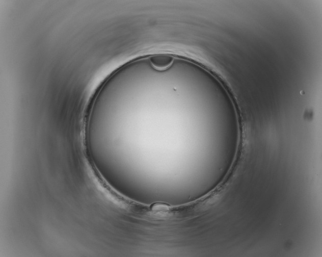 X0000113621517200910021815