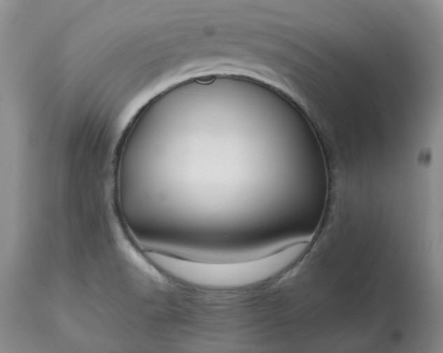 X0000113621518200910021815