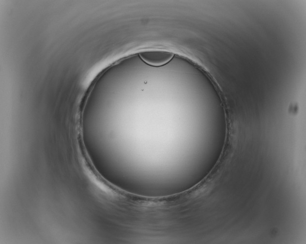 X0000113621519200910021815