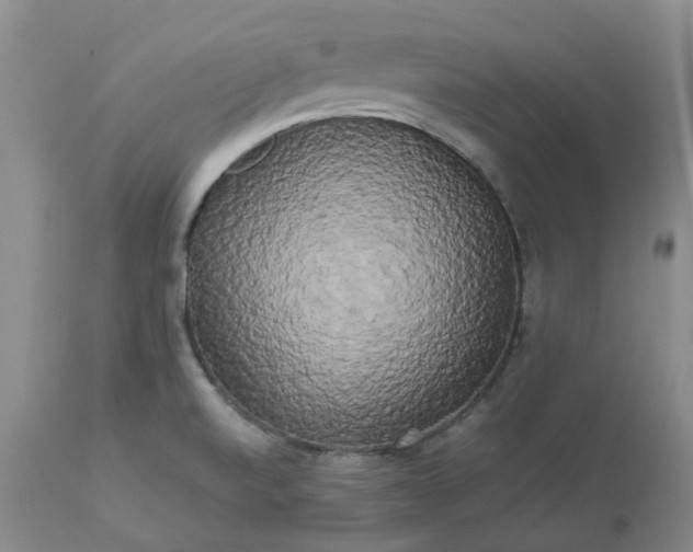 X0000113621520200910021815