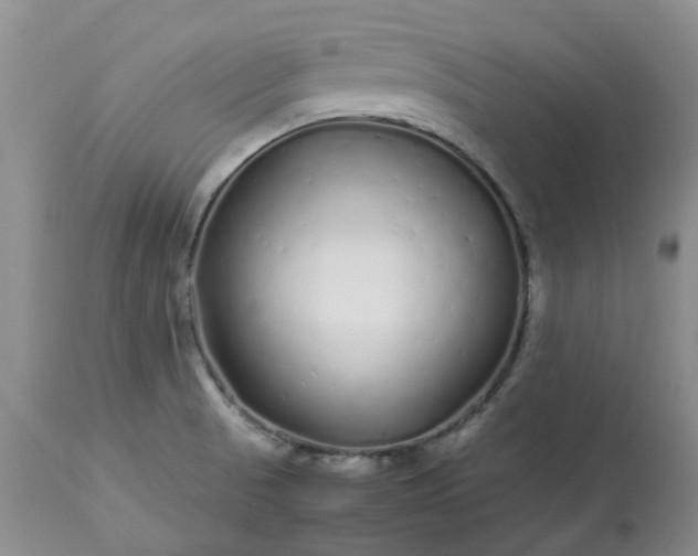 X0000113621521200910021815