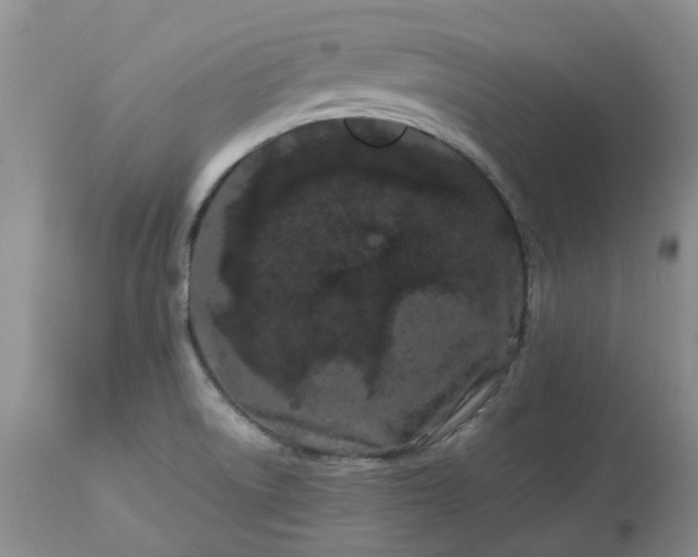 X0000113621522200910021815