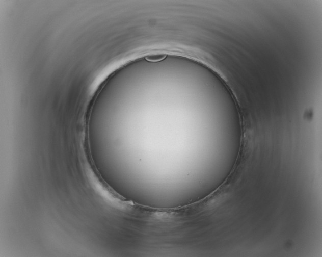 X0000113621523200910021815