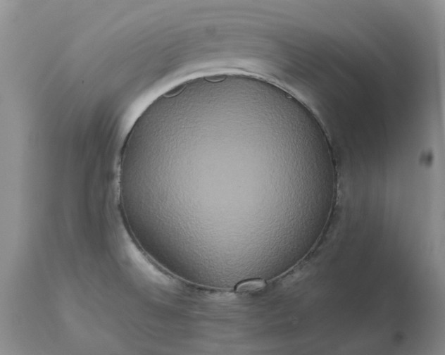 X0000113621524200910021815