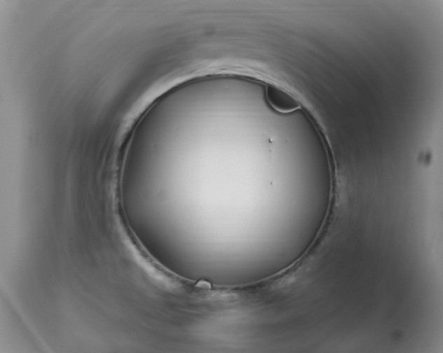 X0000113621525200910021815