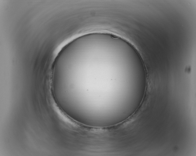 X0000113621526200910021815