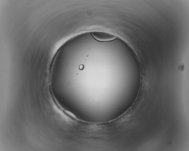 X0000113621527200910021815