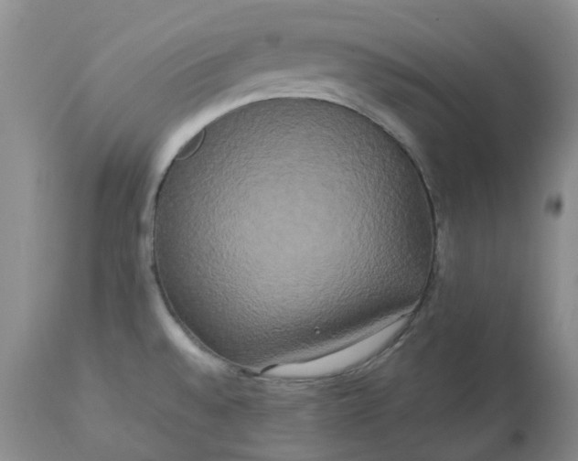 X0000113621528200910021815