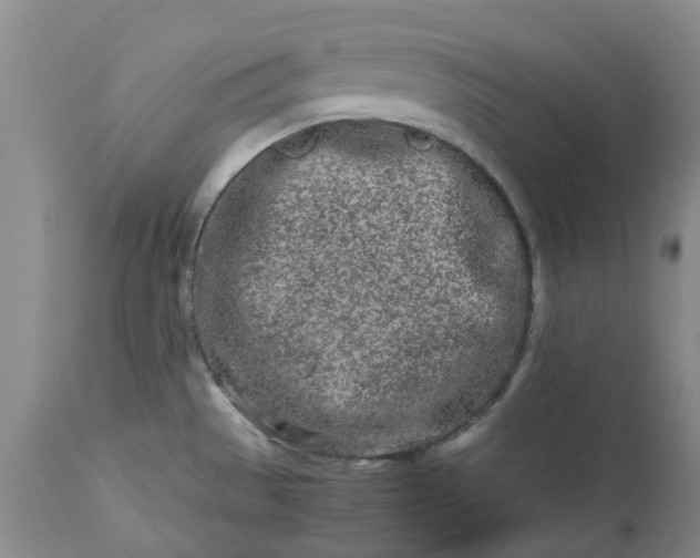 X0000113621529200910021815