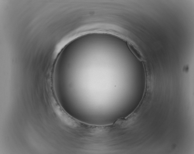 X0000113621530200910021815