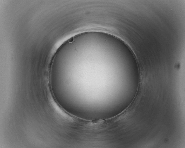 X0000113621531200910021815