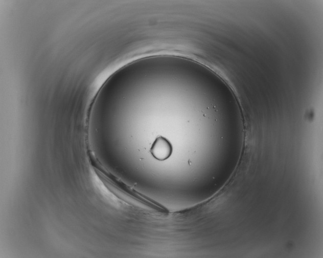 X0000113621532200910021815