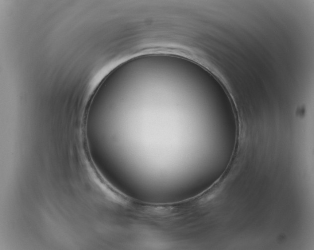 X0000113621533200910021815