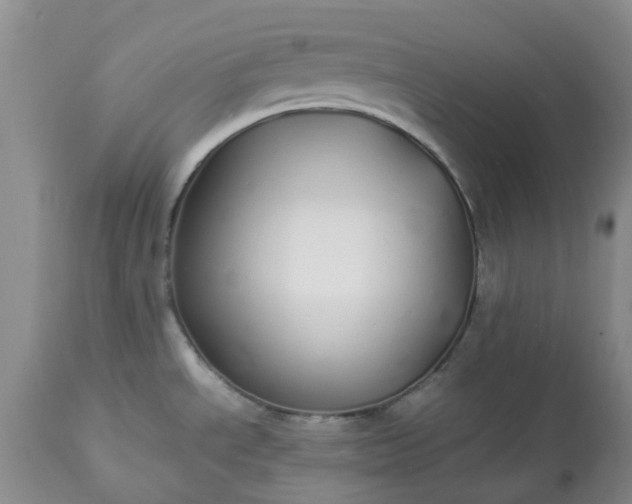 X0000113621534200910021815