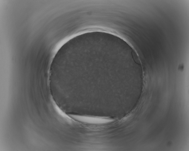 X0000113621535200910021815