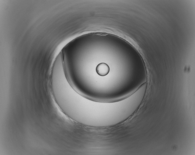 X0000113621536200910021815