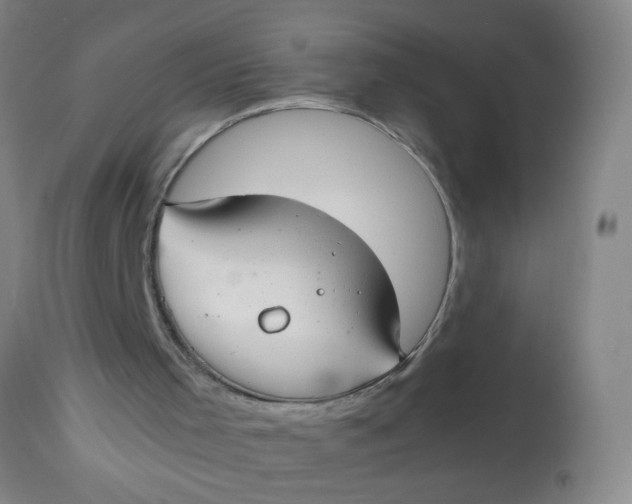 X0000113620001200910091543