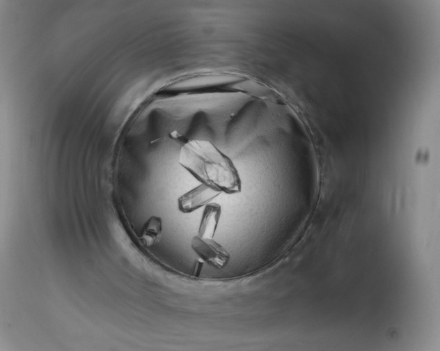 X0000113620002200910091543