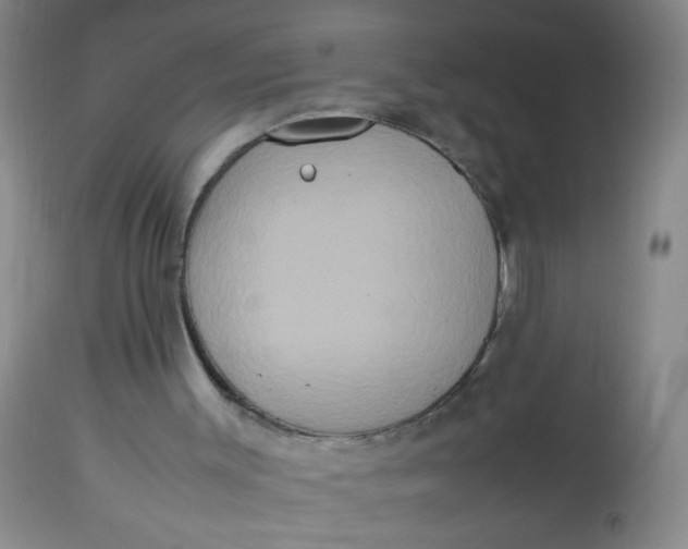 X0000113620003200910091543