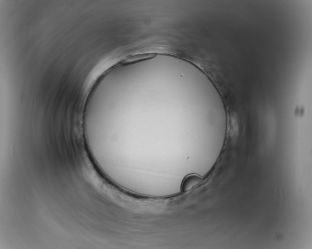 X0000113620004200910091543