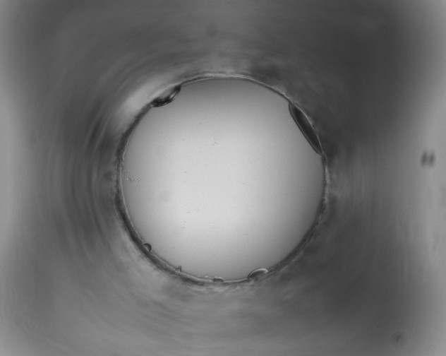 X0000113620005200910091543