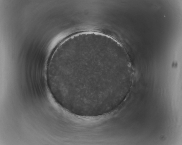 X0000113620006200910091543