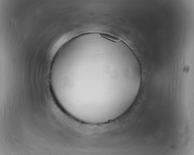 X0000113620007200910091543
