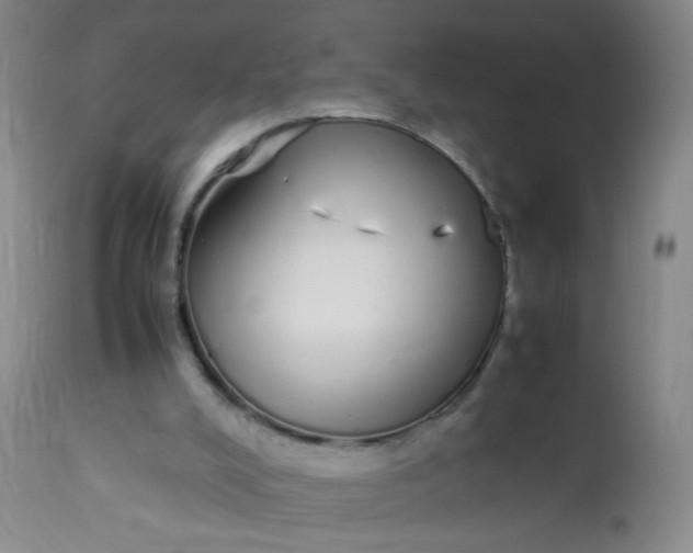 X0000113620008200910091543