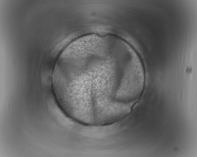 X0000113620009200910091543