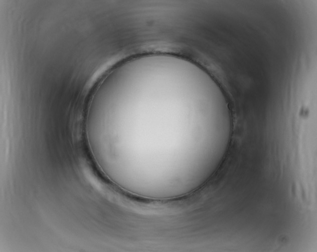 X0000113620012200910091543