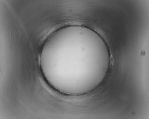 X0000113620013200910091543