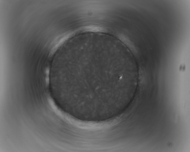 X0000113620014200910091543