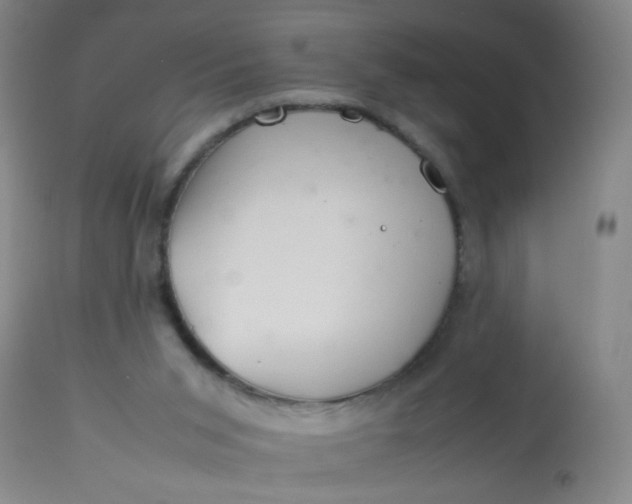 X0000113620015200910091542