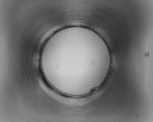 X0000113620016200910091542