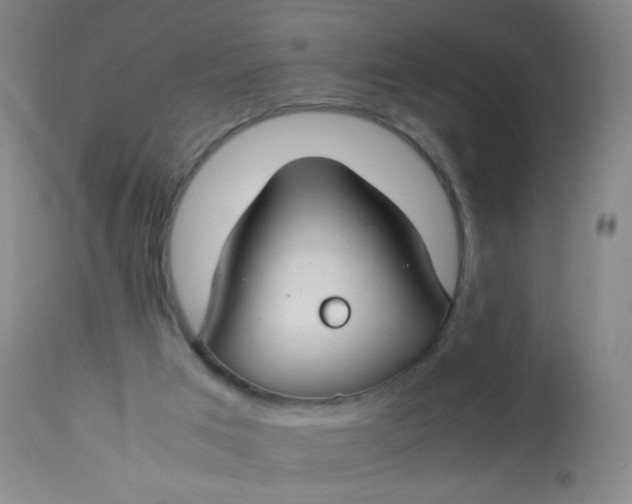 X0000113620017200910091542