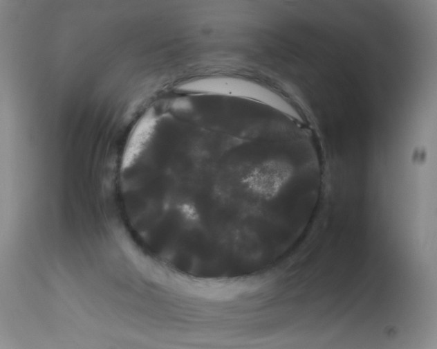 X0000113620018200910091542