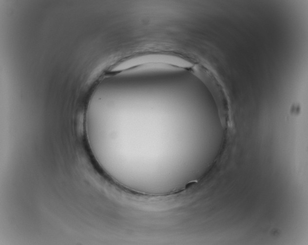 X0000113620019200910091542
