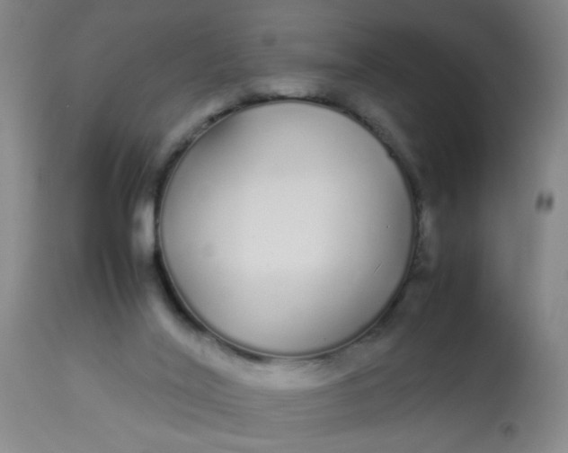 X0000113620020200910091542